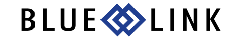 Blue Link ERP Software - Your Trusted Technology Partner 